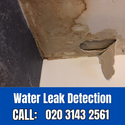 Expert Water Leak Detection Services in Clapham Junction | Clapham Junction Leak Detection